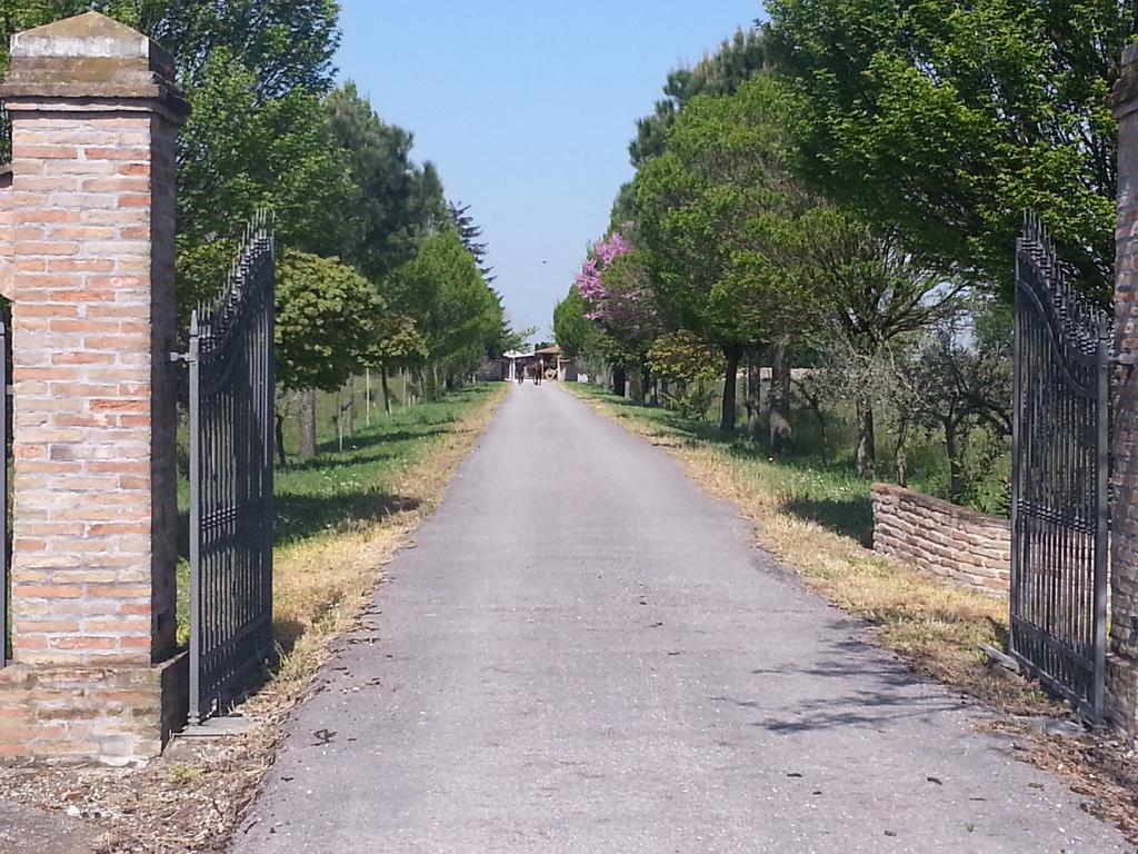 Agriturismo L'Angelina Alfonsine Exterior foto