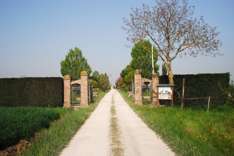 Agriturismo L'Angelina Alfonsine Exterior foto